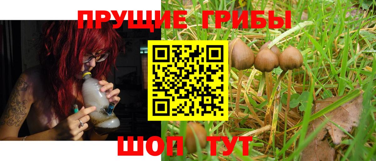 Галлюциногенные грибы мицелий Новокубанск