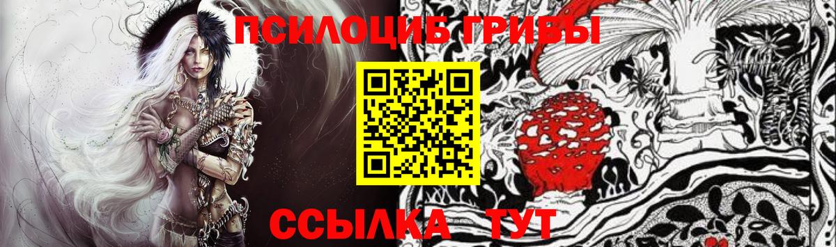 Галлюциногенные грибы Cubensis  Вход с VPN  Новокубанск 